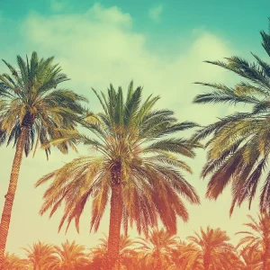 Добро пожаловать в WordPress